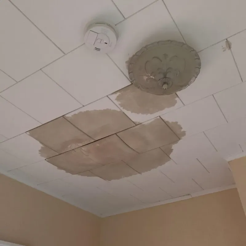Ceiling Water Damage Repair in South Willard, UT